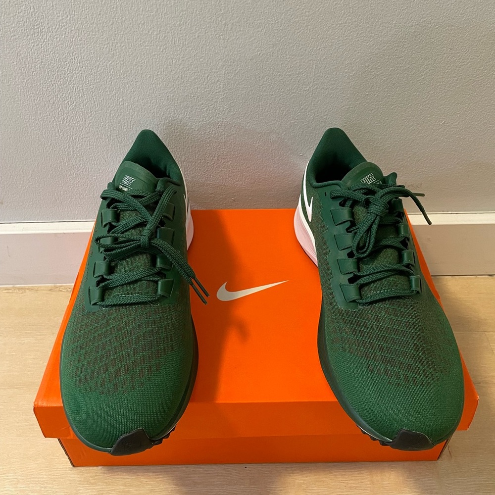 Brand new Nike Air Zoom Pegasus 37 TB